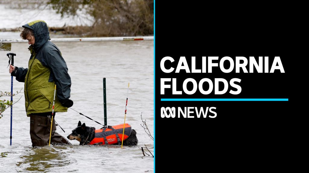 Wild (2014 film) visual data 5