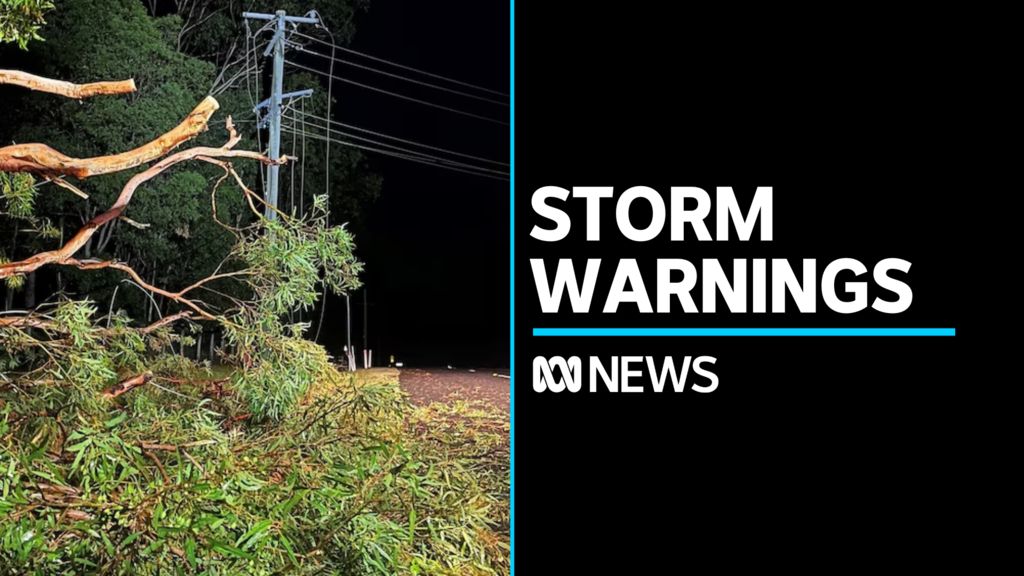 Warnings for flash floodings, hail and damging winds for NSW - ABC News