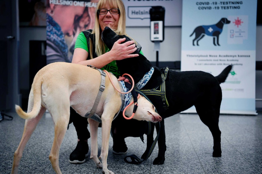 A white/yellow dog and a black dog stand next to each other as the latter nuzzles a blonde woman crouched above them.