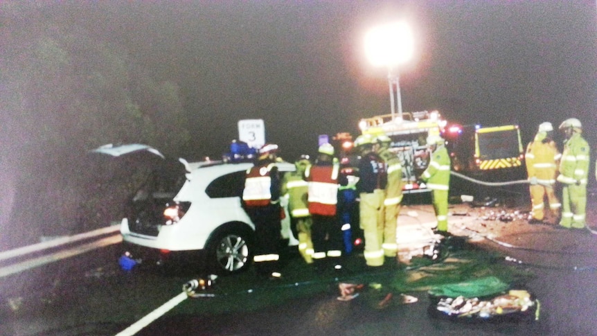 Emergency services at the scene of the crash on the M1 Pacific Motorway.