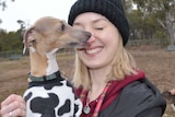 A whippet dog licking a woman's face as she smiles with her eyes closed.