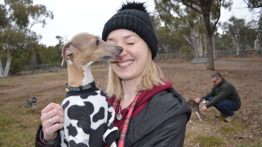 A whippet dog licking a woman's face as she smiles with her eyes closed.