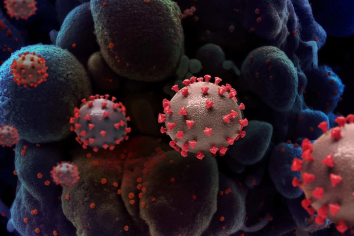 A microscopic image of a coronavirus molecule.