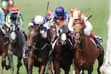 The Melbourne Cup winner is on the fence, as two horses outside it bump each other near the finish.