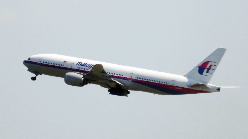 Malaysia Airlines flight MH17