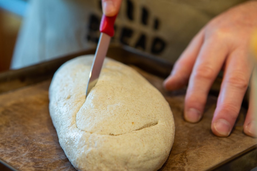 a loaf of dough being scored by a knife on chopping board