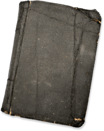 Bill Rudd's diary, a tattered 100-year-old journal