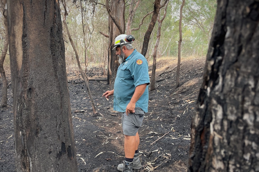 A man walks through a bushfire site