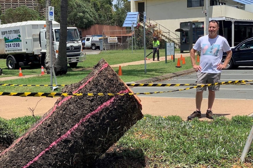 Man stands near a cut of tree trunk.