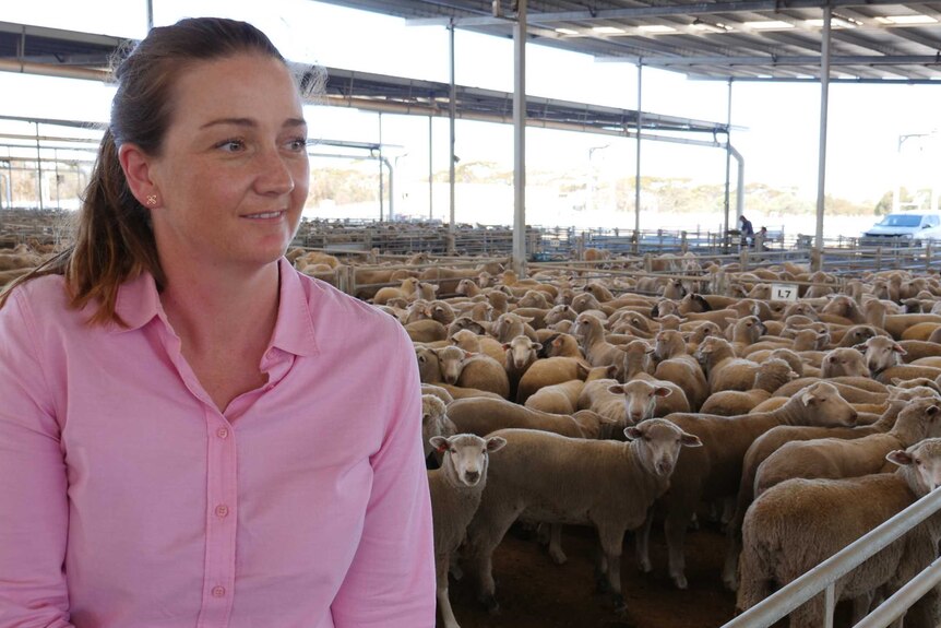 Holly Ludeman sits on the fence of a stock yard with sheep behind her