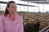 Holly Ludeman sits on the fence of a stock yard with sheep behind her