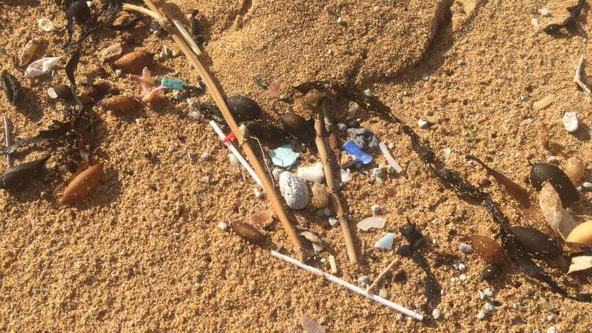 Plastic sticks on the sand