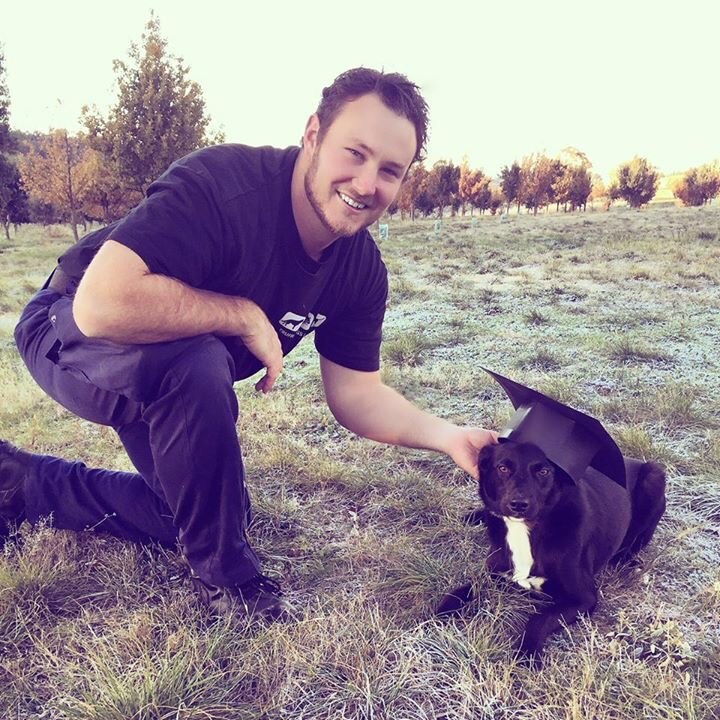 Truffle hunting offers new life for rescue dogs in Canberra ABC News