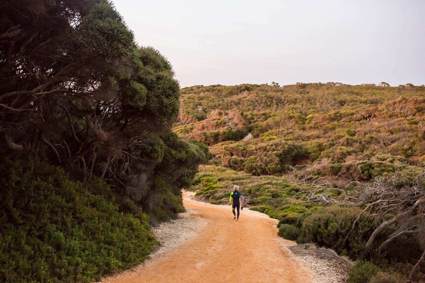 Surfer Cody Robinson walks down a narrow road to get to Bells Beach.
