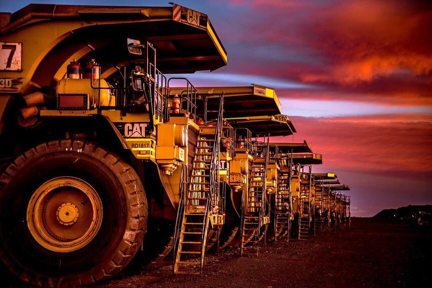 Mining trucks lined up at dawn.