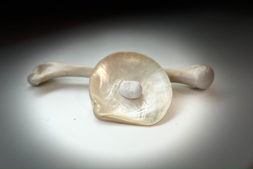 pearl shell synthetic bone