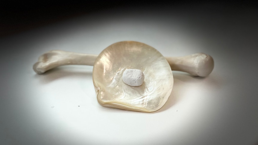 pearl shell synthetic bone