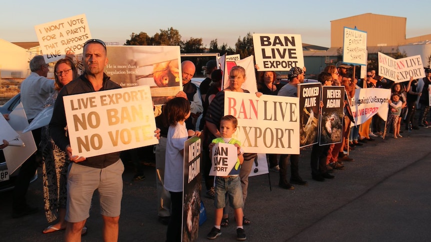 Protesters hold up signs against as the livestock export ship Bader III continues to load.