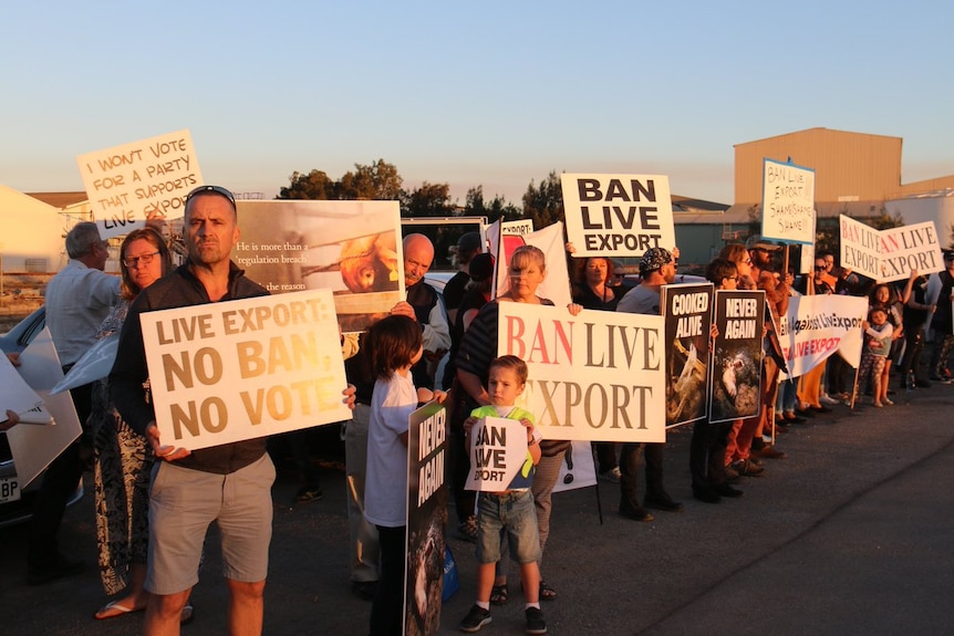 Protesters hold up signs against as the livestock export ship Bader III continues to load.