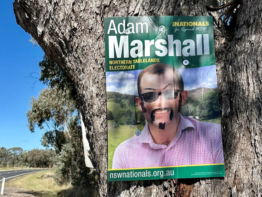 Election sign of man with drawn on glasses and moustache, hung on a tree.