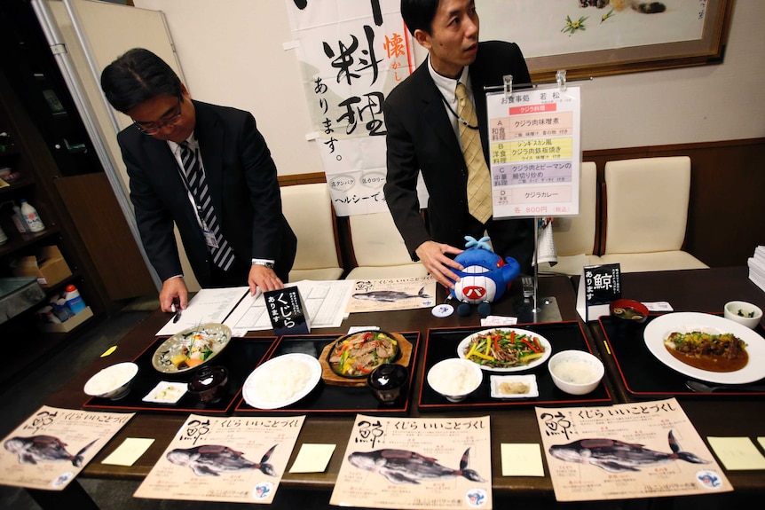 Staff members of Ministry of Economy, Trade and Industry prepare for whale meat tasting during a promotion at a restaurant.