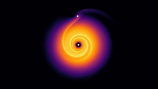 An illustration of the spiral pattern generated by the newborn planet, based on the scientists' computer simulation.