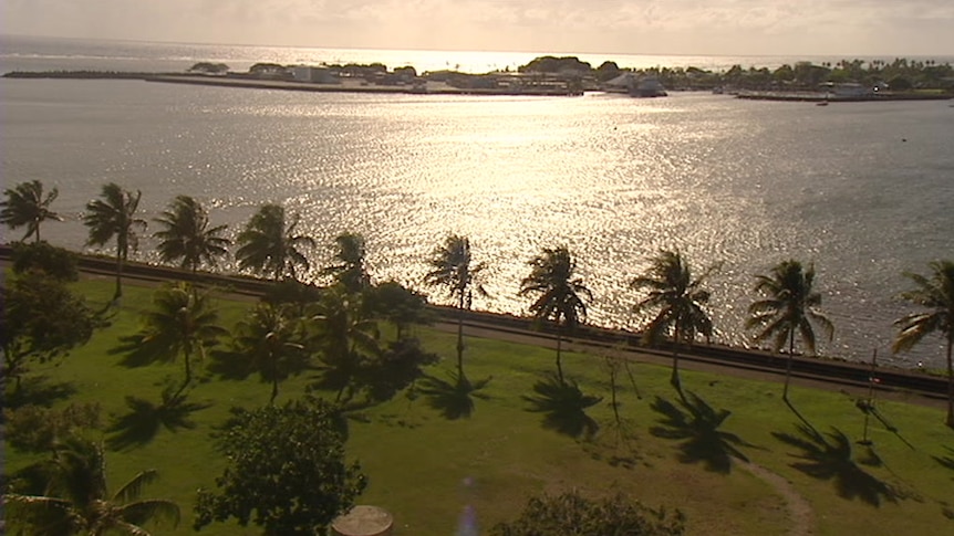 A beach and palm frees in the Samoan capital of Apia.