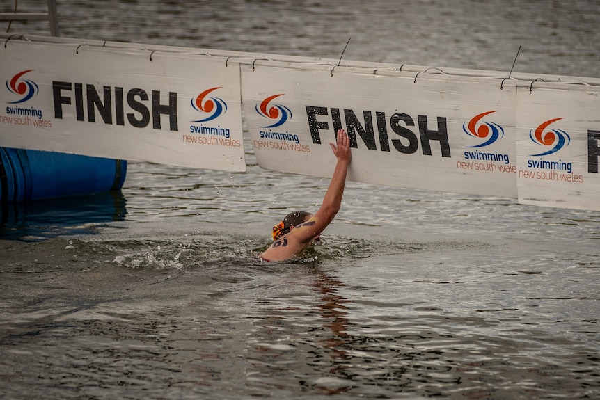 A swimmer in a body of open water slams her hand against a dangling finish line.