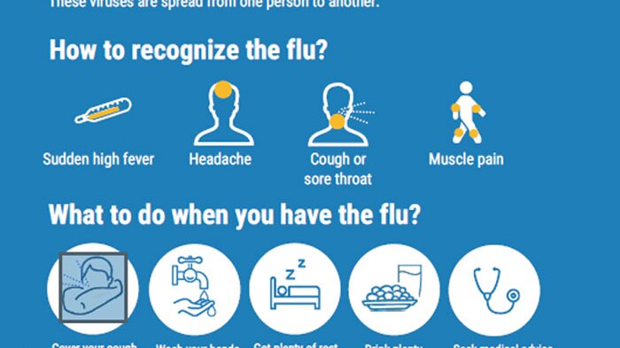 what to know about seasonal influenza