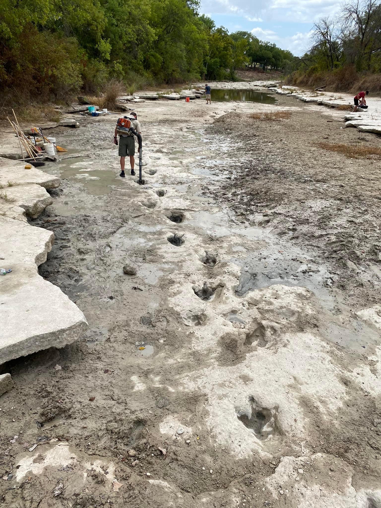 Dinosaur tracks from are revealed in a dried-out riverbed