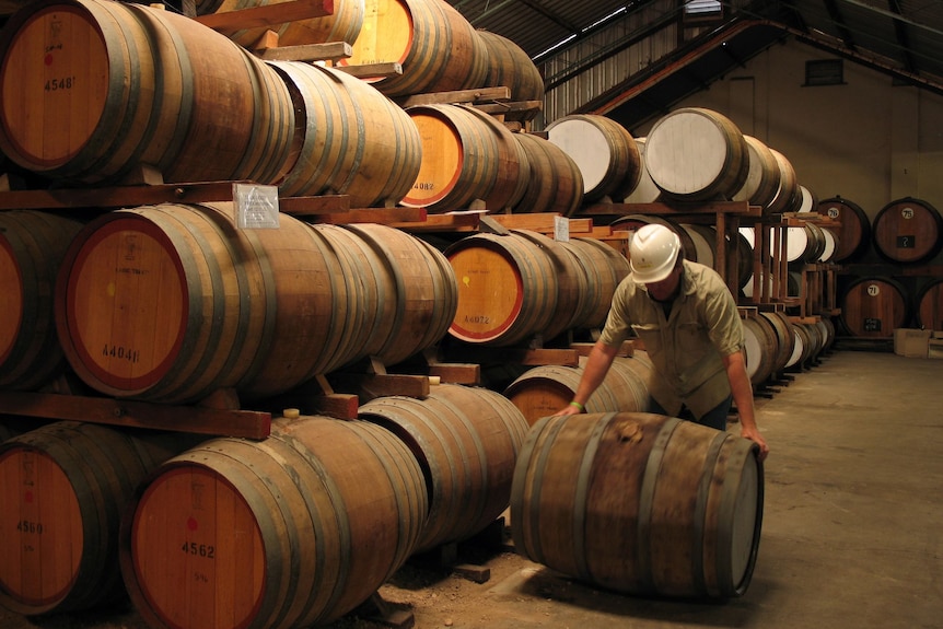 Un hombre se inclina sobre un barril de vino en una bodega 