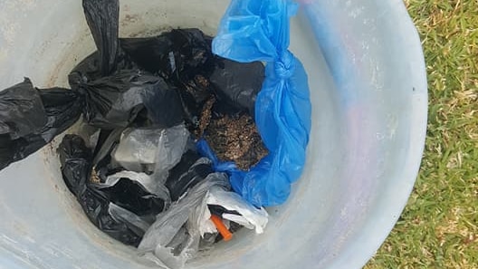 Syringes gathered in a bucket after being removed from the Esperance playground.