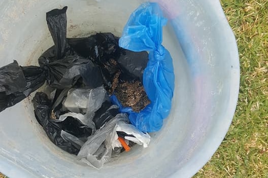 Syringes gathered in a bucket after being removed from the Esperance playground.