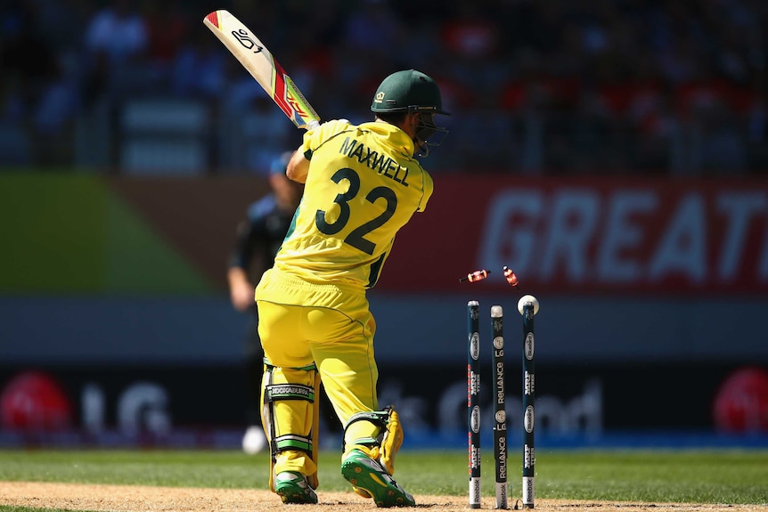 Swift departure ... Glenn Maxwell is bowled by Trent Boult