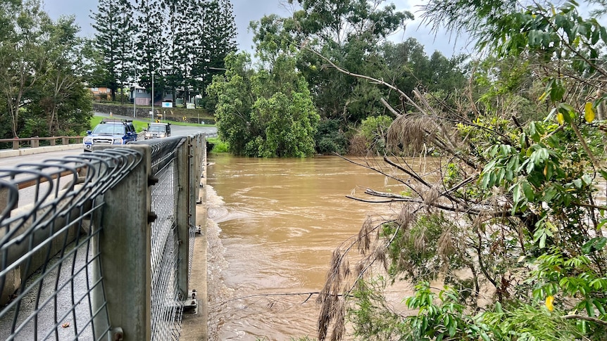 Cars cross bridge over Mary River in Gympie as brown flood water laps the bottom of the bridge