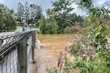 Cars cross bridge over Mary River in Gympie as brown flood water laps the bottom of the bridge