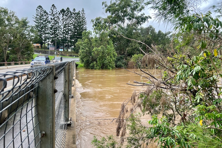 Cars cross bridge over Mary River in Gympie as brown flood water laps the bottom of the bridge