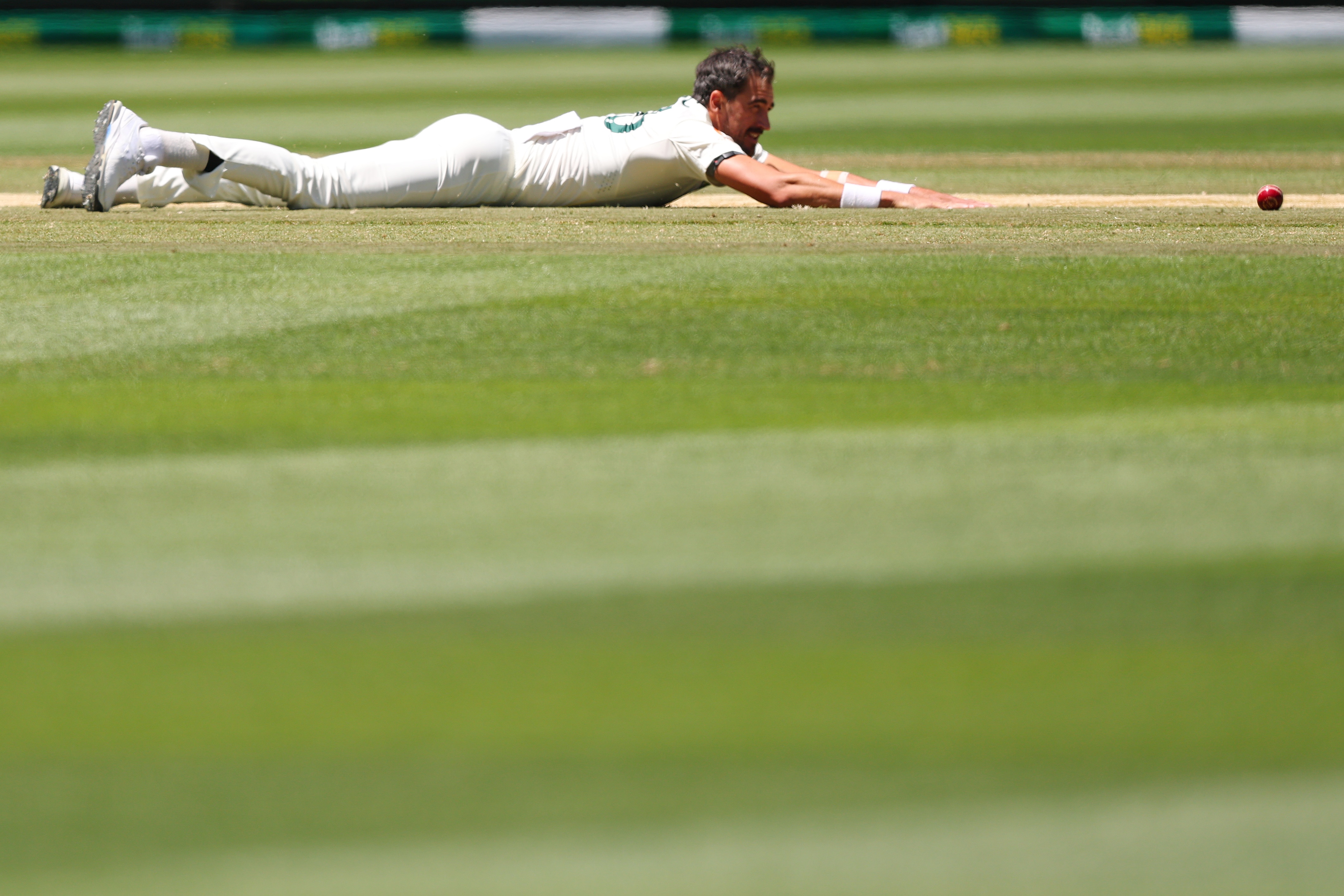 Mitchell Starc yace boca abajo en el campo