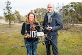 ANU researchers Debbie Saunders and Adrian Manning with the radio tracking drone they developed