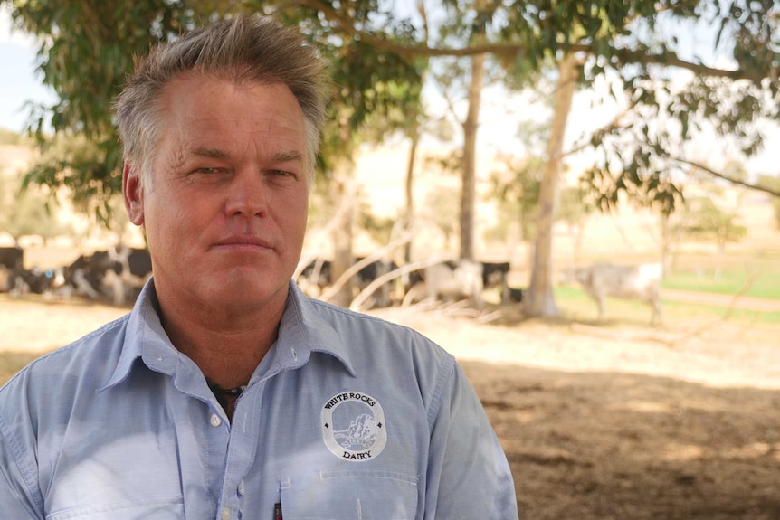 WAFarmers Dairy Council President Michael Partridge is standing on his property near Brunswick, WA.