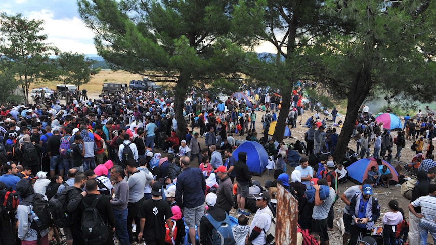 Migrants wait to cross the Greek-Macedonian border