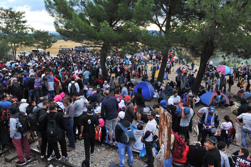 Migrants wait to cross the Greek-Macedonian border