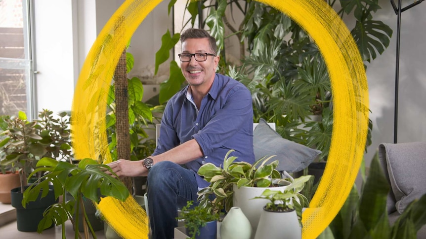 A man sits among his indoor plant collection in Melbourne, teaching how to treat common plant fungus and pest problems.