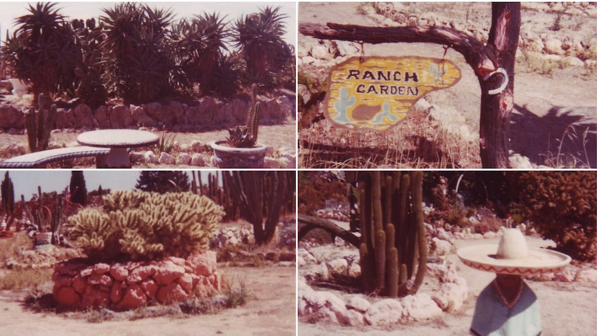 Four old-style images of a cactus garden.