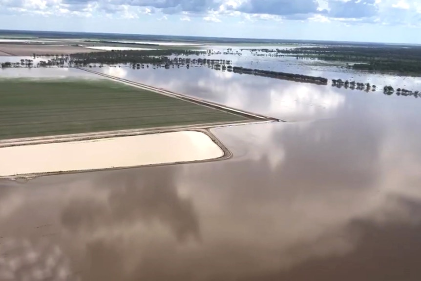 Agricultural land has become a lake outside Goondiwindi