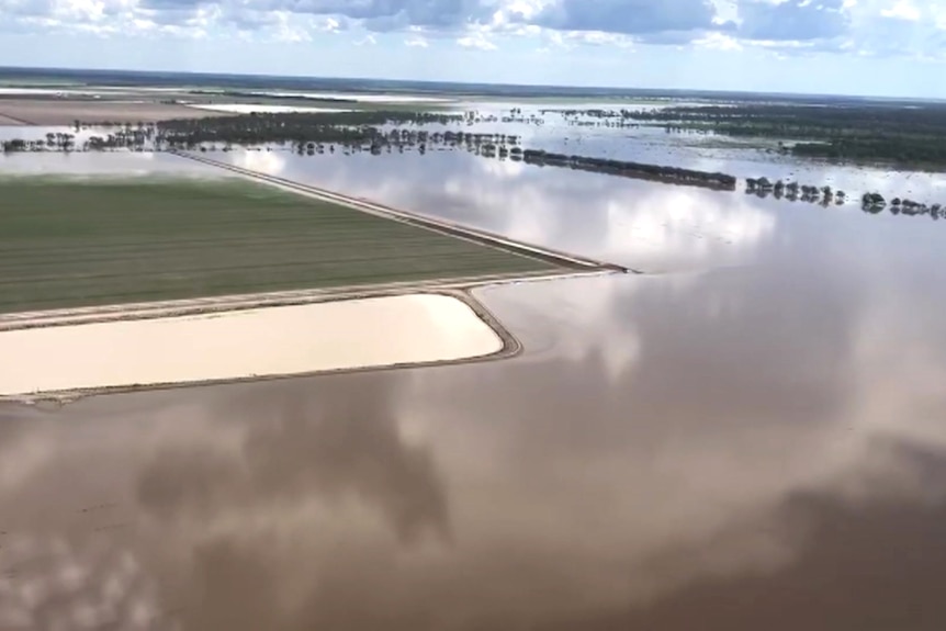 Farmland has become a lake outside Goondiwindi