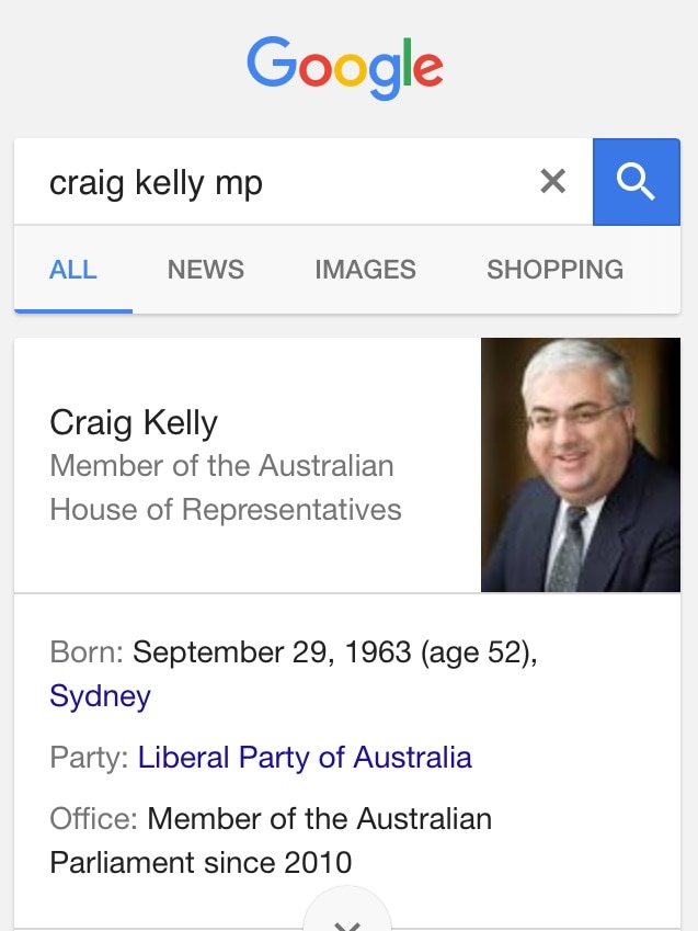 A screenshot of a mobile screen shows Google search results for "Craig Kelly".