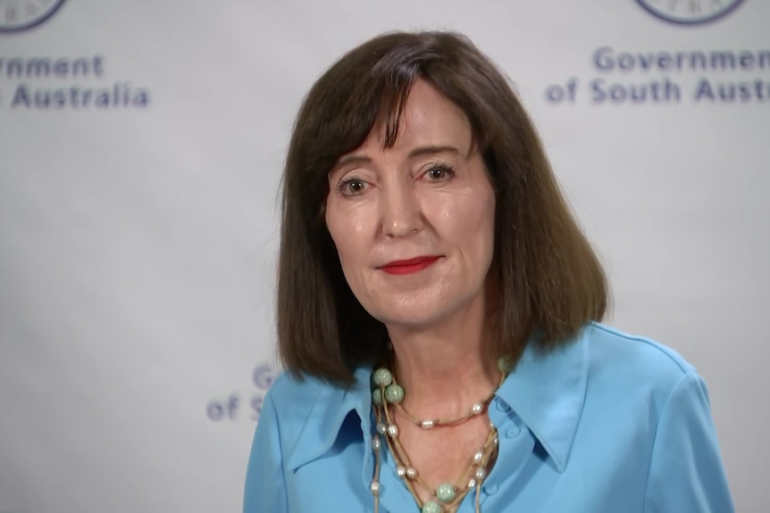 A woman in a blue top speaking at a press conference