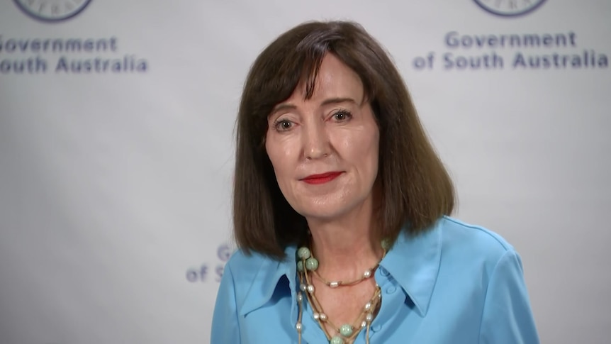 A woman in a blue top speaking at a press conference