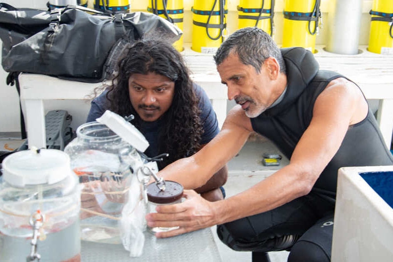 Two researchers on a boat investigate a fish in a tank.